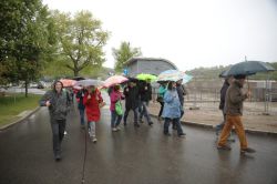 2019 FruehlingsfestGrimmaECalov 001 (Klein)